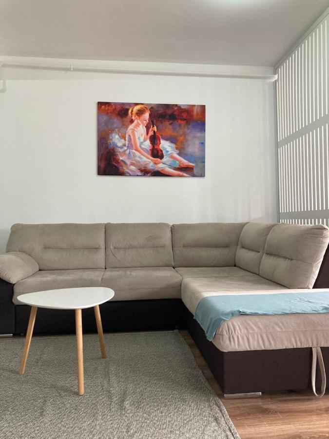 Best View Ap With Parking And 2 Bathrooms 시나이아 외부 사진