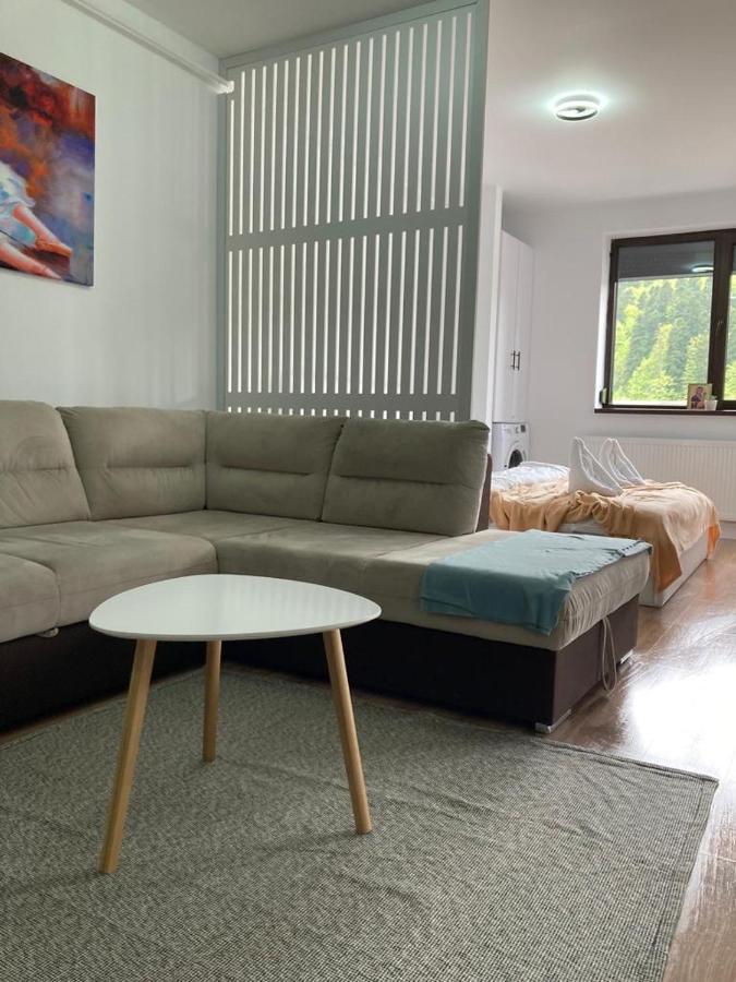 Best View Ap With Parking And 2 Bathrooms 시나이아 외부 사진