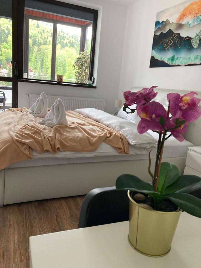 Best View Ap With Parking And 2 Bathrooms 시나이아 외부 사진