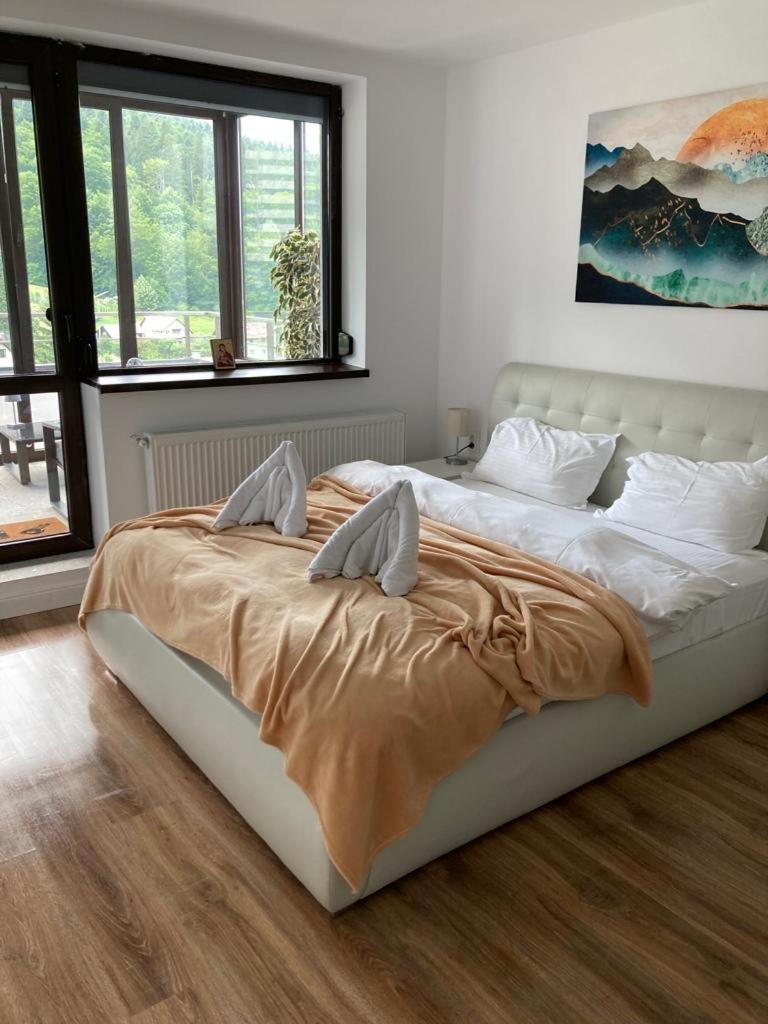 Best View Ap With Parking And 2 Bathrooms 시나이아 외부 사진